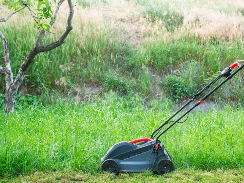 How to Do Your First Lawn Cut in Spring the Right Way