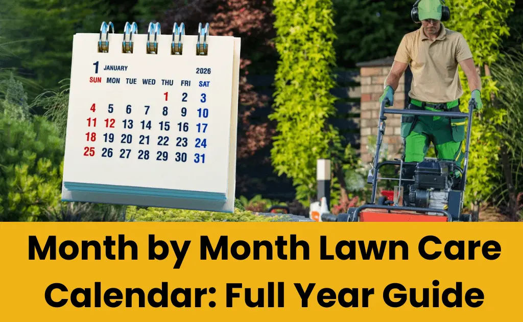 Month by Month Lawn Care Calendar Full Year Guide