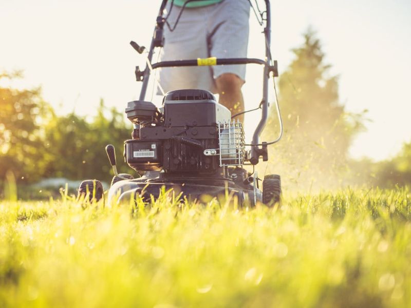Seasonal Lawn Care Guide and Checklist