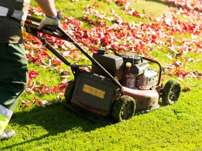 When Should You Start Mowing Your Lawn in Spring
